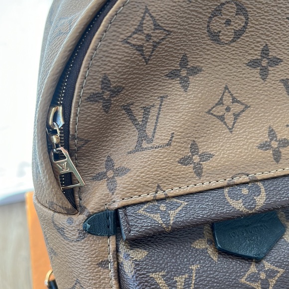 Palm Springs Mini Reverse Monogram - Picture 12 of 17